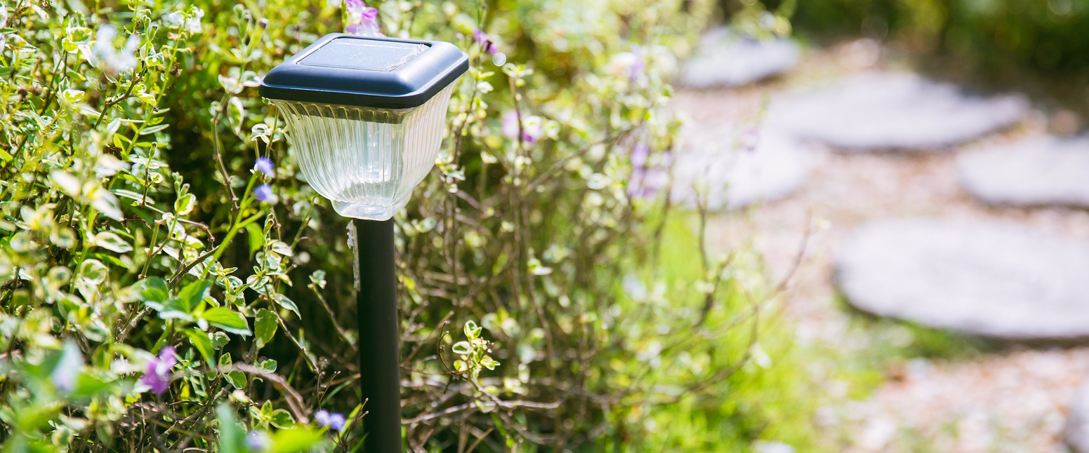 Commercial Landscaping Custom Landscape Design Orlando Fl Landscape Lighting Special